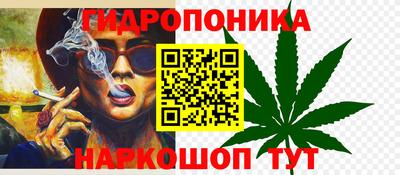 дживик Новодвинск