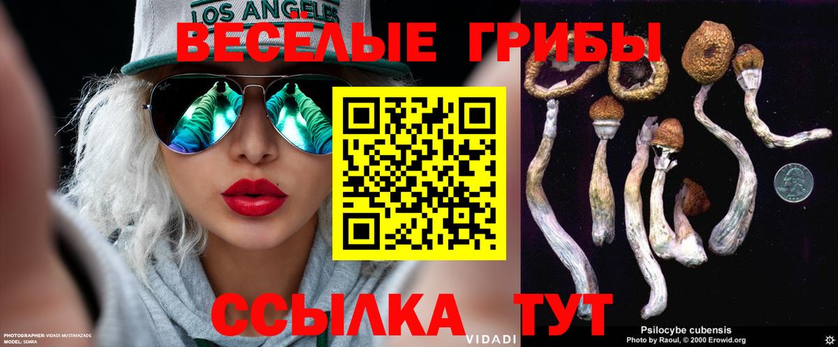Галлюциногенные грибы Magic Shrooms Нерюнгри