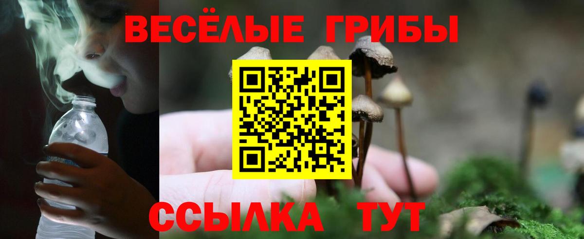 где продают   Вход с VPN  Нерюнгри  Псилоцибиновые грибы мицелий  Псилоцибиновые грибы мухоморы 
